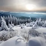 Sonnenhof Bayerischer Wald Hotel 4*