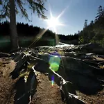 Sonnenhof Bayerischer Wald Hotel 4*
