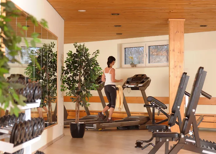 Hotel Sonnenhof Bayerischer Wald 4*