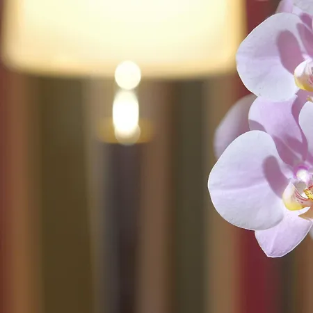 Hotel Sonnenhof Bayerischer Wald Lam