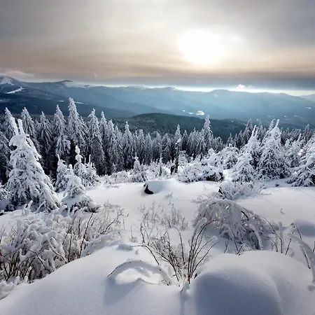 Sonnenhof Bayerischer Wald Hotel 4*