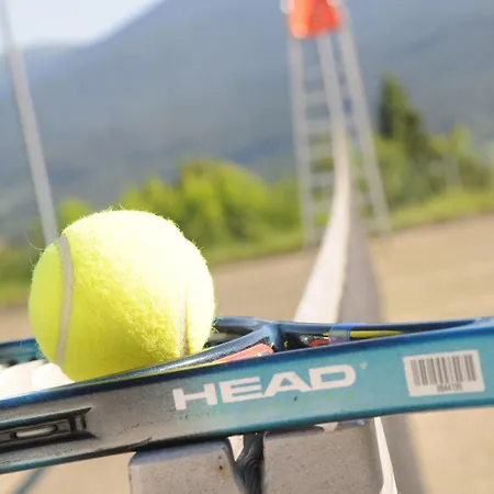 Hotel Sonnenhof Bayerischer Wald Lam