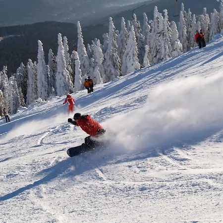 호텔 Sonnenhof Bayerischer Wald 4*
