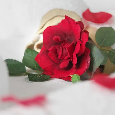 Sonnenhof Bayerischer Wald Hotel Lam