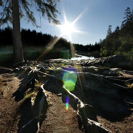 Sonnenhof Himmelreich Bayerischer Wald Hotel 4*