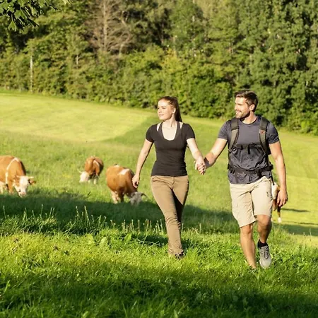 Sonnenhof Himmelreich Bayerischer Wald Hotel 4*