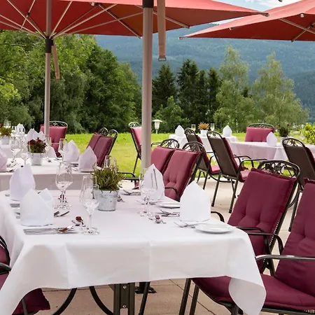 Sonnenhof Bayerischer Wald Lam