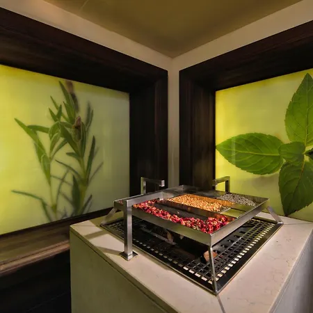 Sonnenhof Bayerischer Wald Hotel Lam