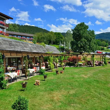 Sonnenhof Bayerischer Wald Hotel Lam