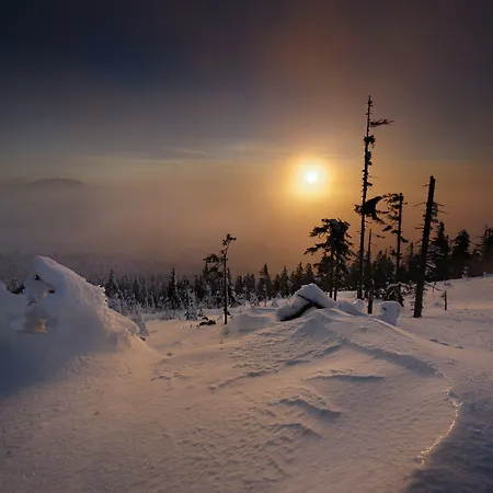 Sonnenhof Bayerischer Wald Hotel Lam